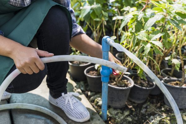 gardening